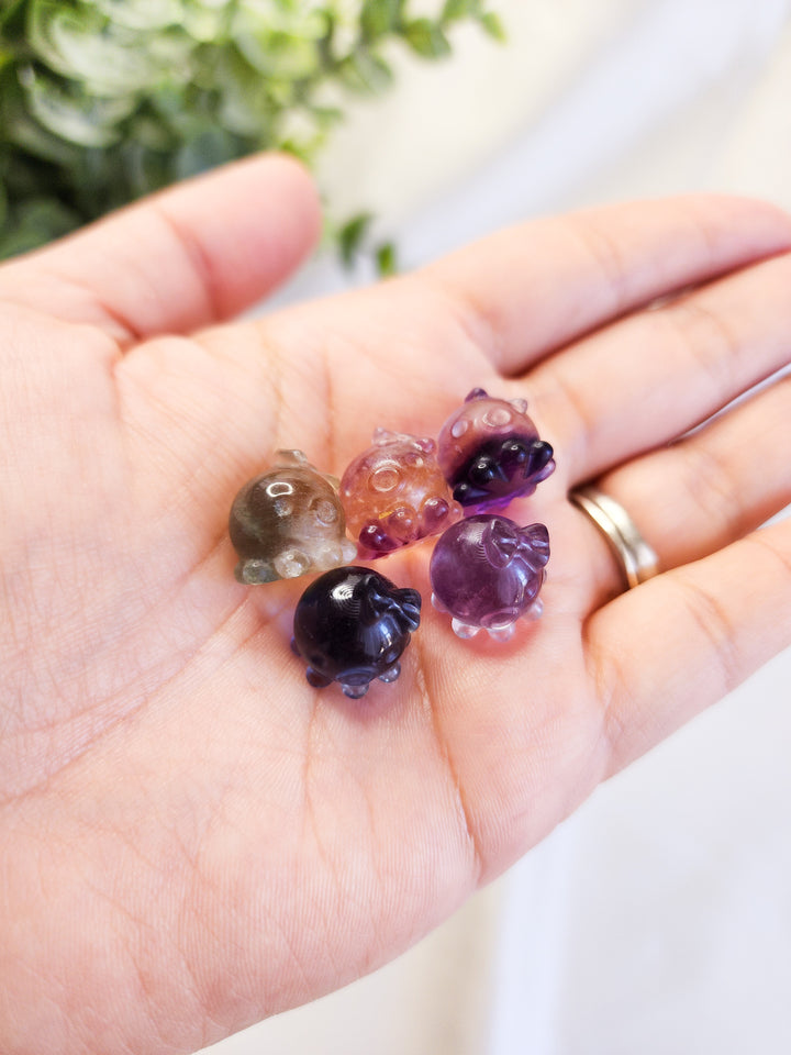 Mini Fluorite Kawaii Octopus