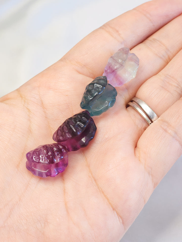 Mini Fluorite Clam