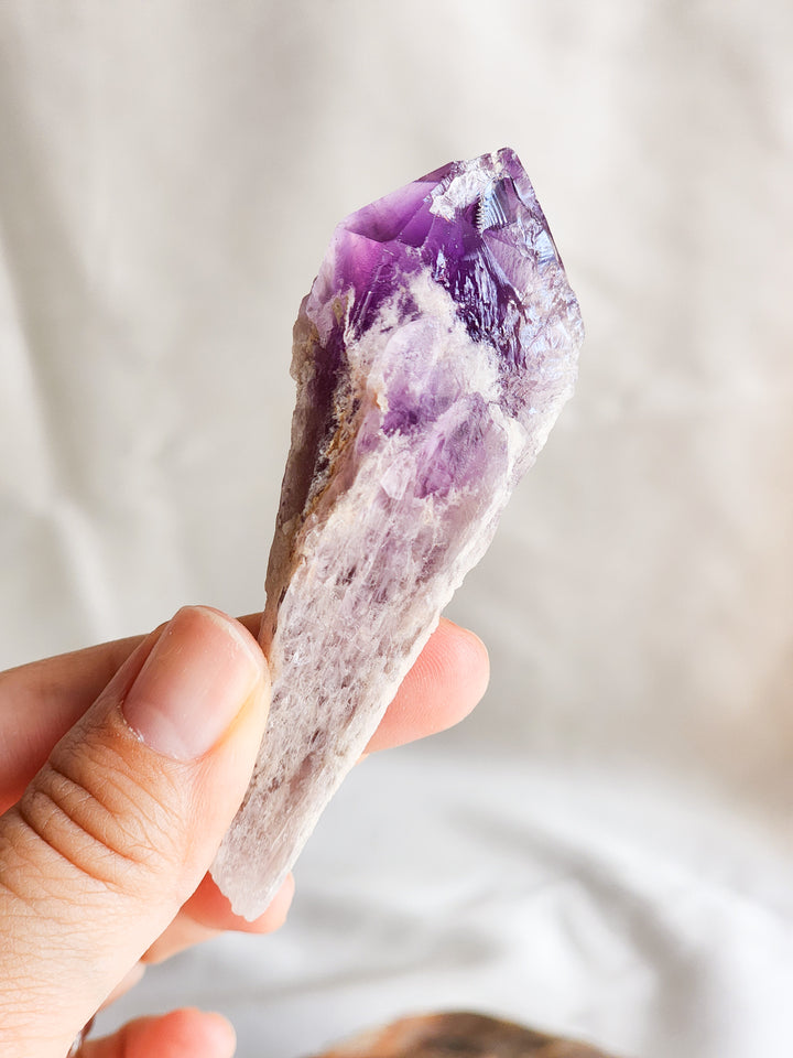 Small Amethyst Root Wands