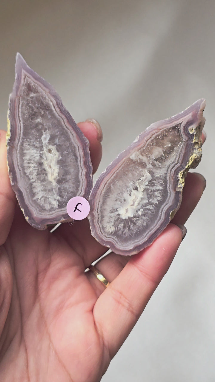 Green Lee Agate 🧚‍♀️ Pair"Celebrian" f