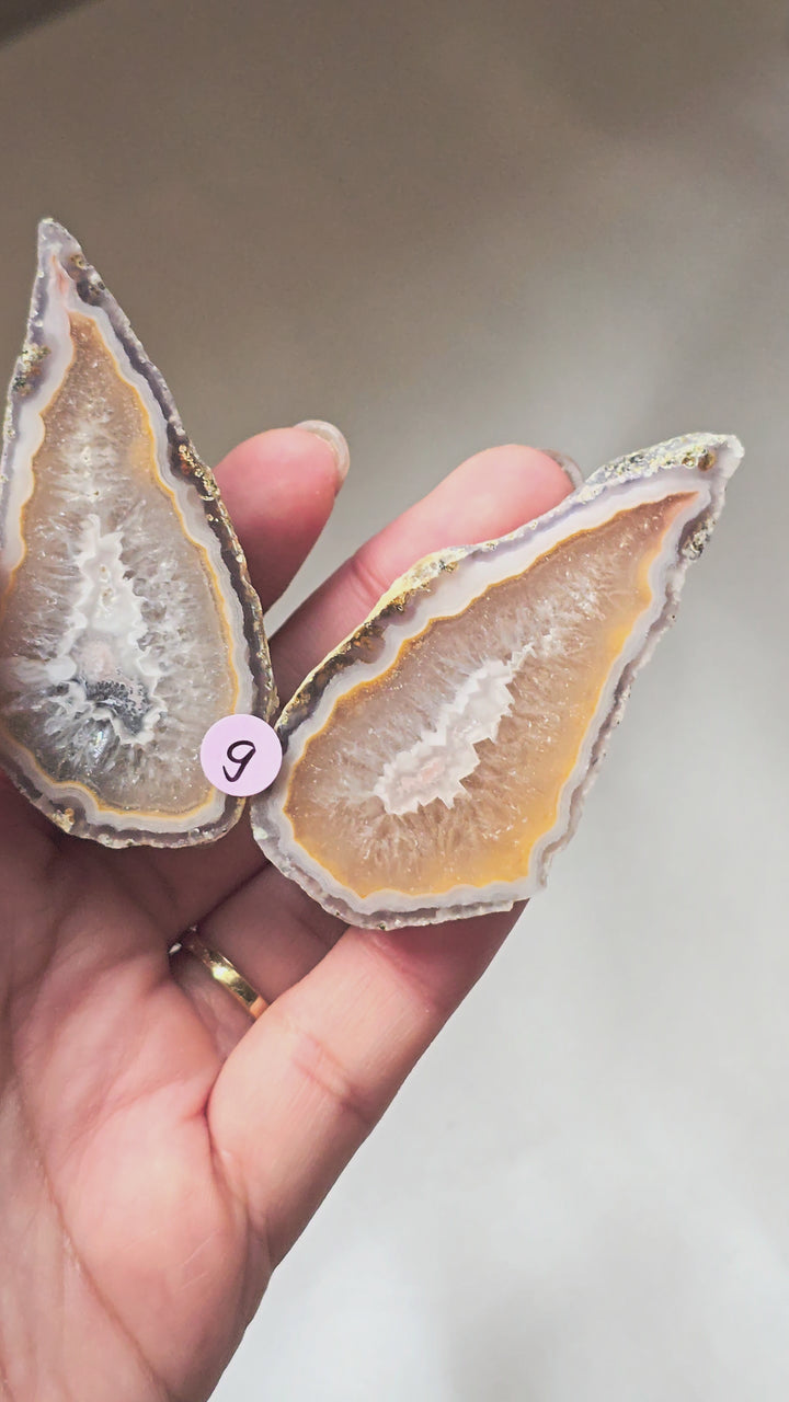 Green Lee Agate 🧚‍♀️ Pair "Wendelin" g