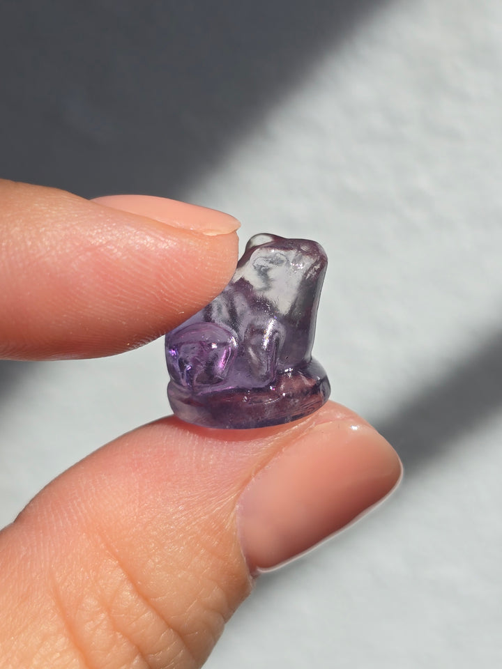 Mini Fluorite Frog
