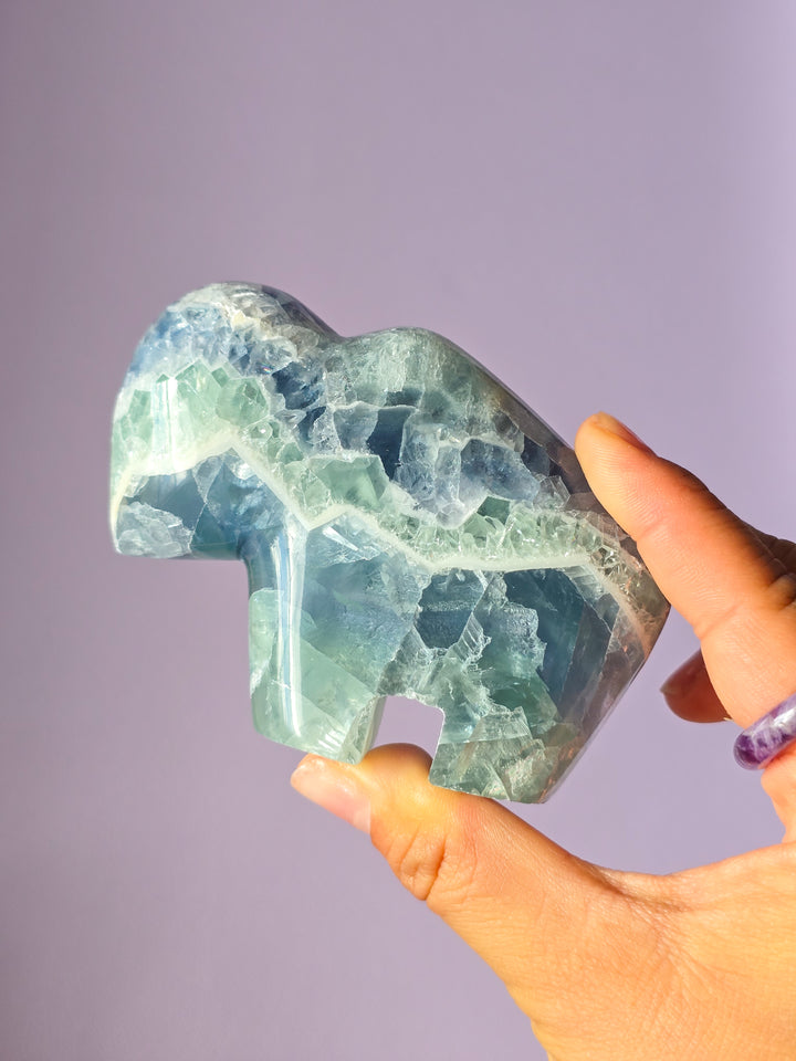 Mexican Rainbow Fluorite Bison