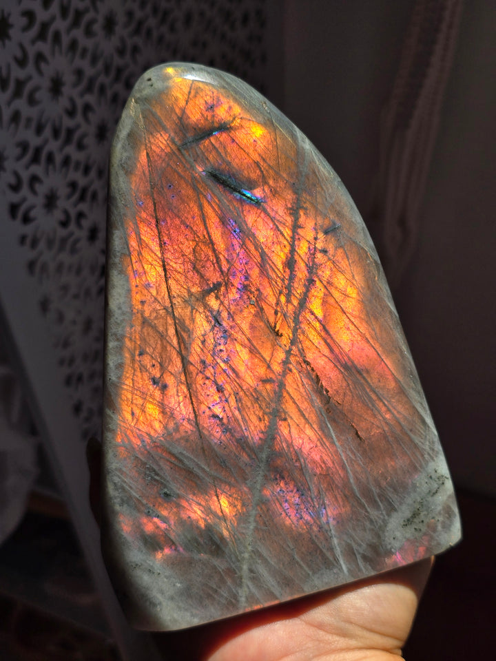 Labradorite Freeform A1