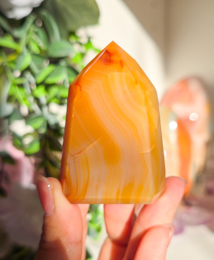 Brazillian Carnelian Towers