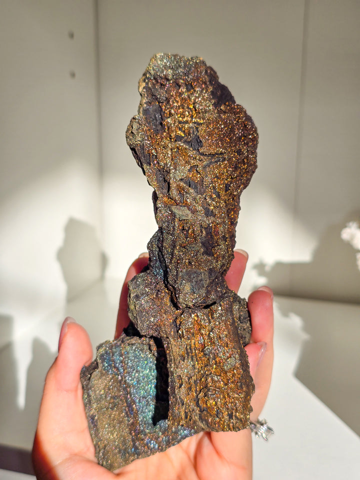 Marcasite on Petrified Wood