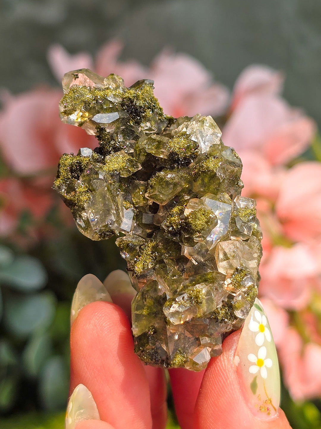 Fairy Forest Epidote with Quartz