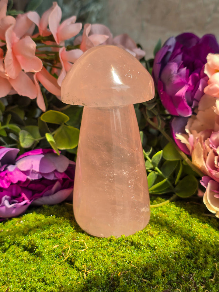 Rose Quartz Mushie C