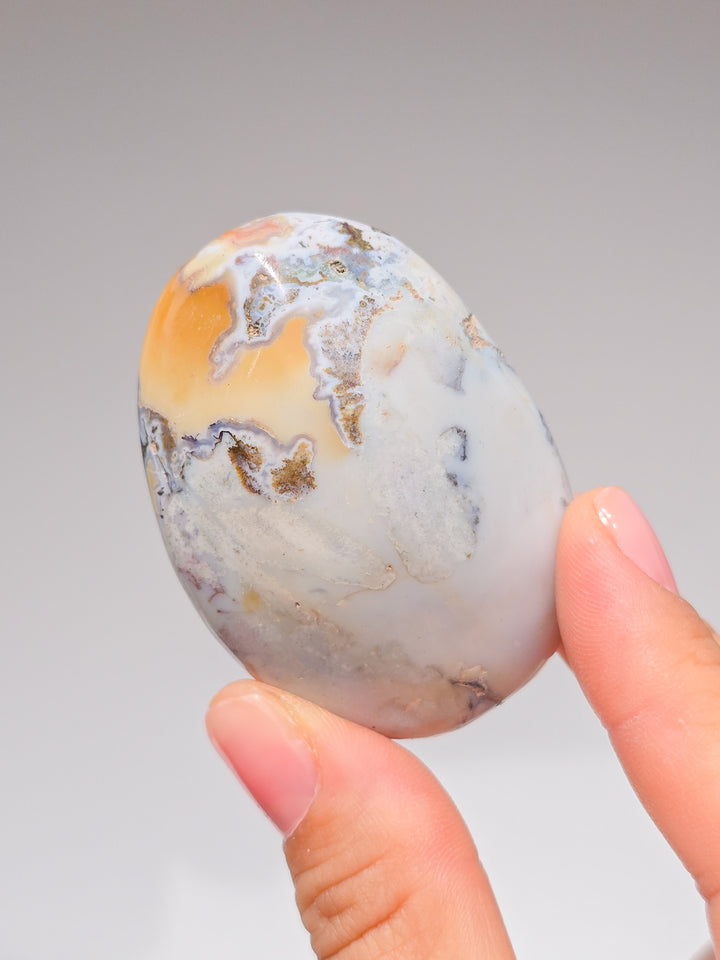 Zebra &amp; Sea Jasper Palmstones