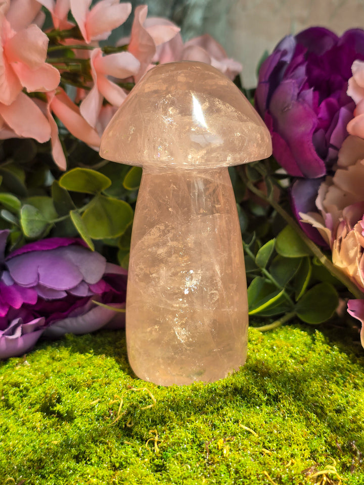 Rose Quartz Mushie D