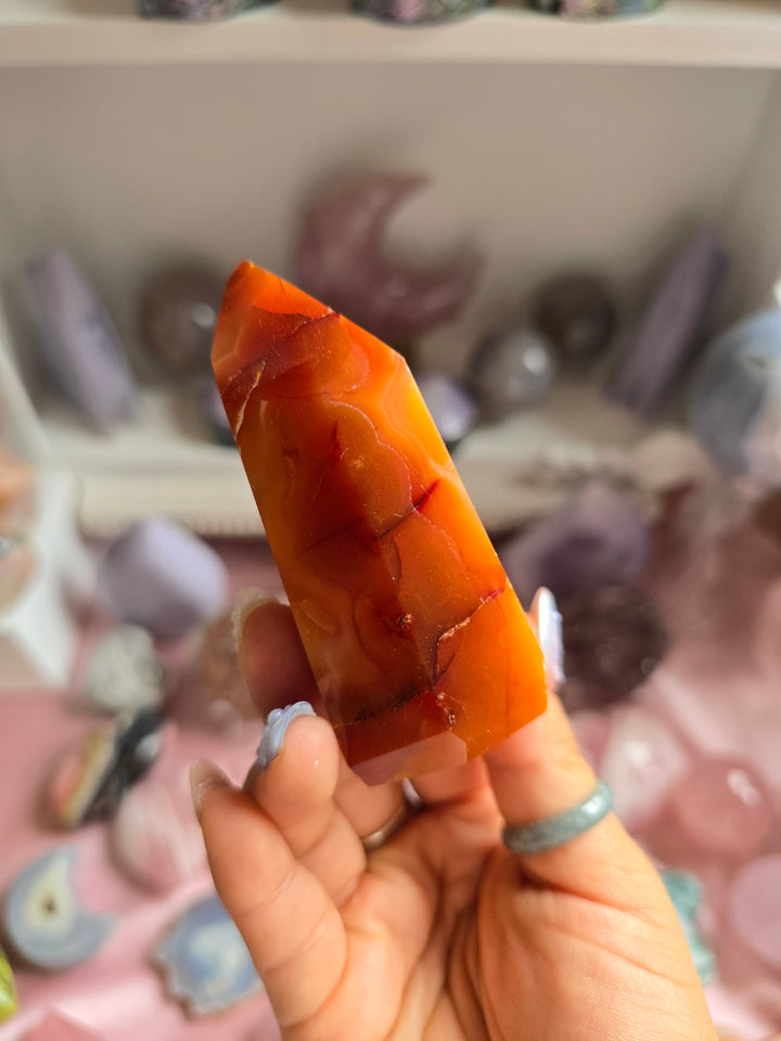 Autumn Carnelian Tower 11
