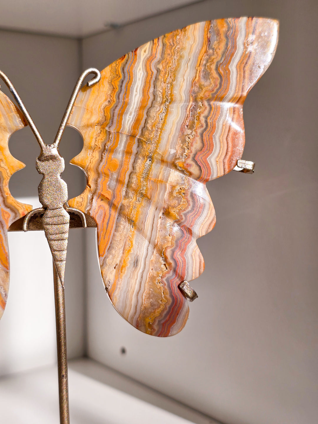 Indonesian Crazy Lace Agate Butterfly on Stand (a)