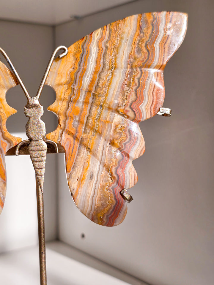 Indonesian Crazy Lace Agate Butterfly on Stand (a)