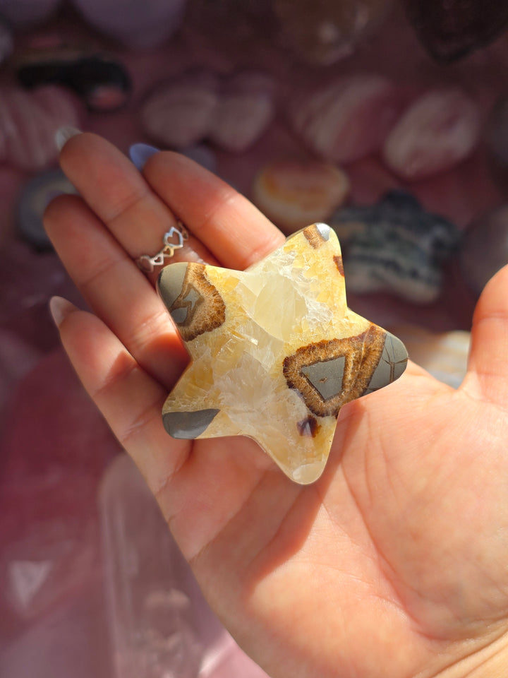 Septarian Shooting Star