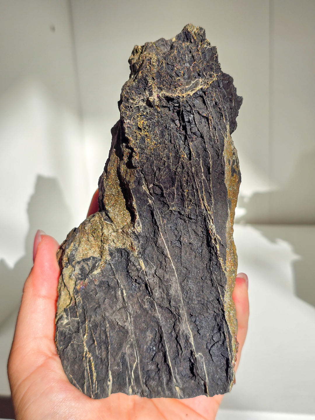 Marcasite on Petrified Wood