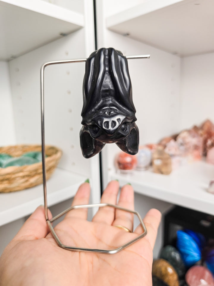 Friendly Hanging Bats