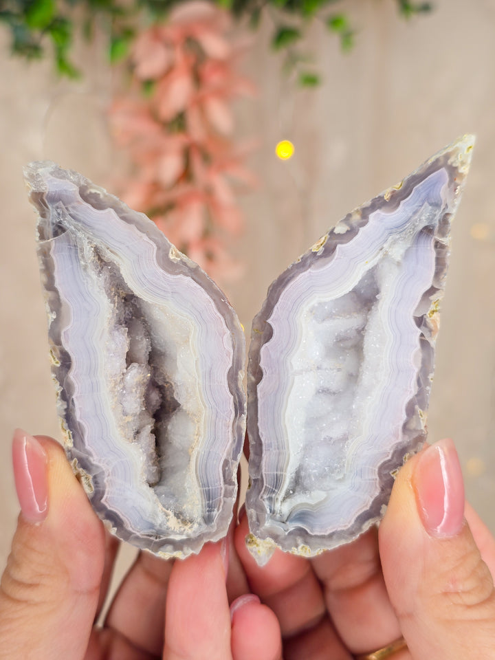 Green Lee Agate Fairy Wings Pair 🧚‍♀️ (M)