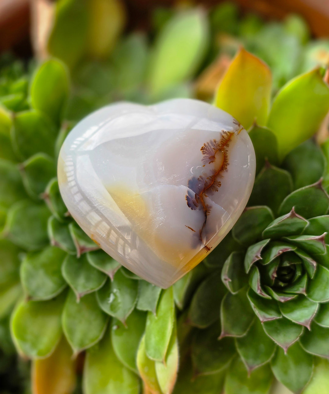 Agate Heart (d)