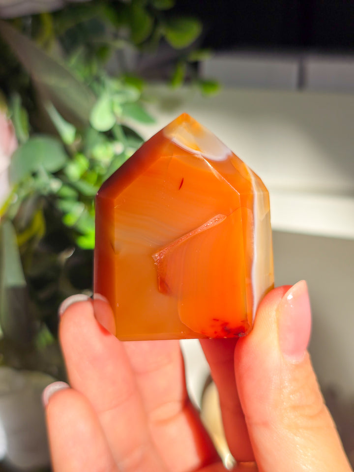 Brazillian Carnelian Towers