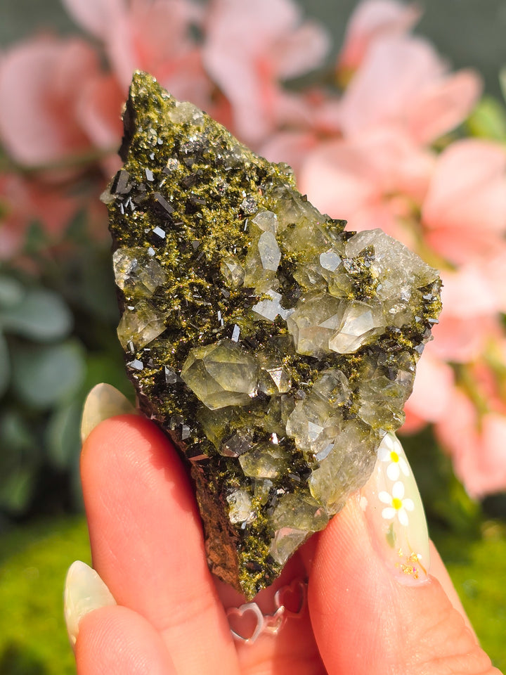 Fairy Forest Epidote with Quartz