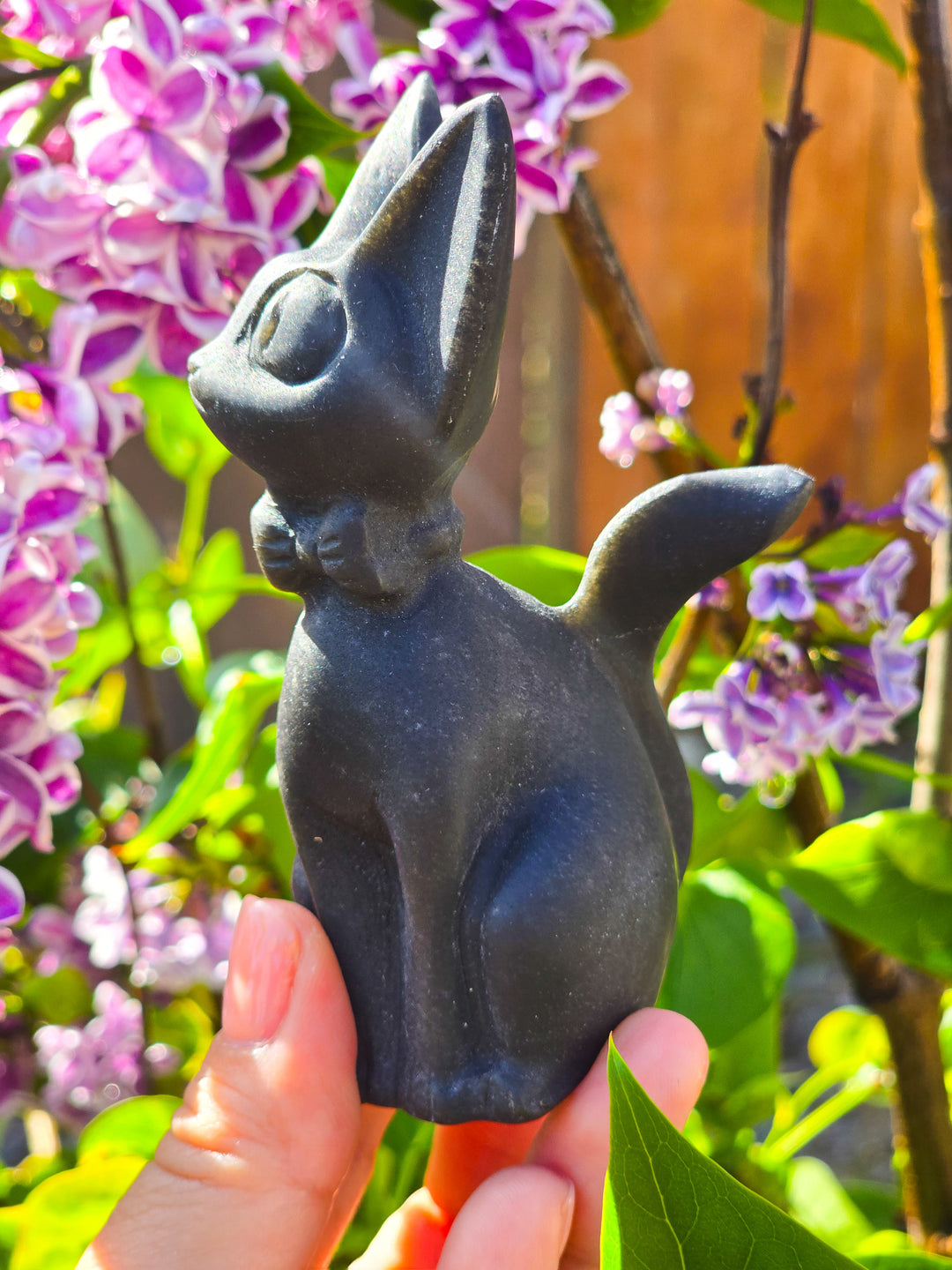 Black Obsidian JiJi Carving