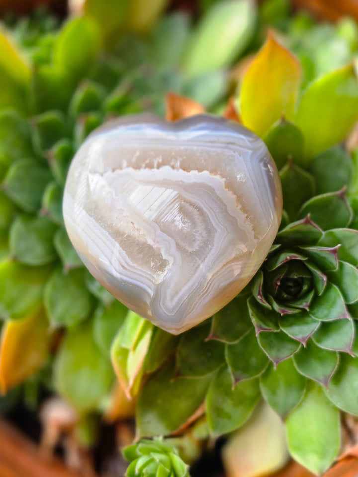 Agate Heart (a)