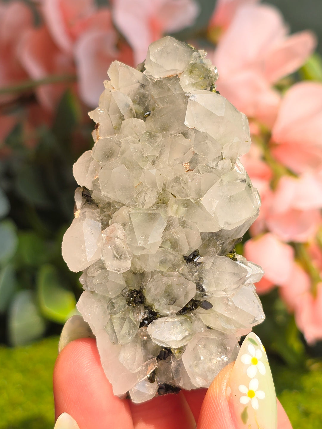 Fairy Forest Epidote with Quartz
