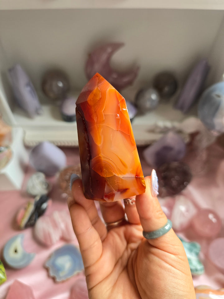 Autumn Carnelian Tower 11