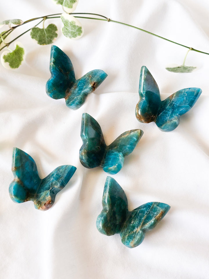 Blue Apatite Small 3d Butterfly