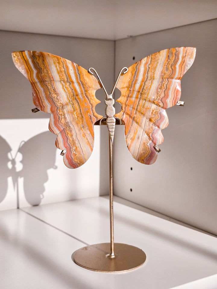 Indonesian Crazy Lace Agate Butterfly on Stand (a)