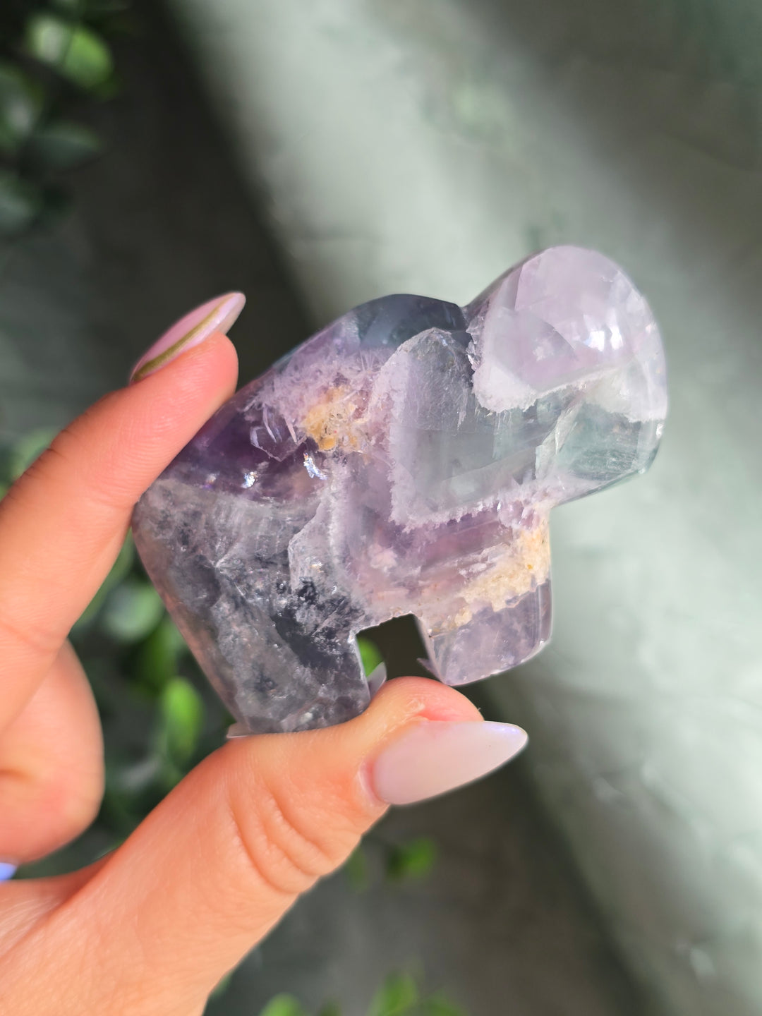 You Pick , Rainbow Fluorite from Durango Mexico