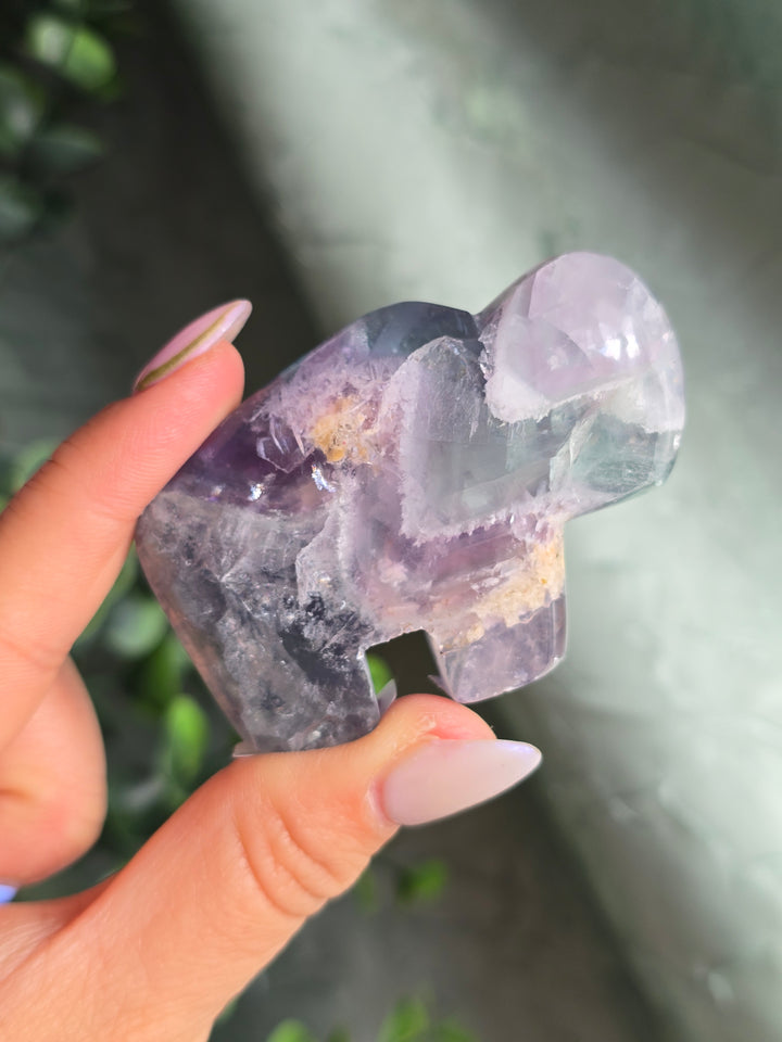You Pick , Rainbow Fluorite from Durango Mexico