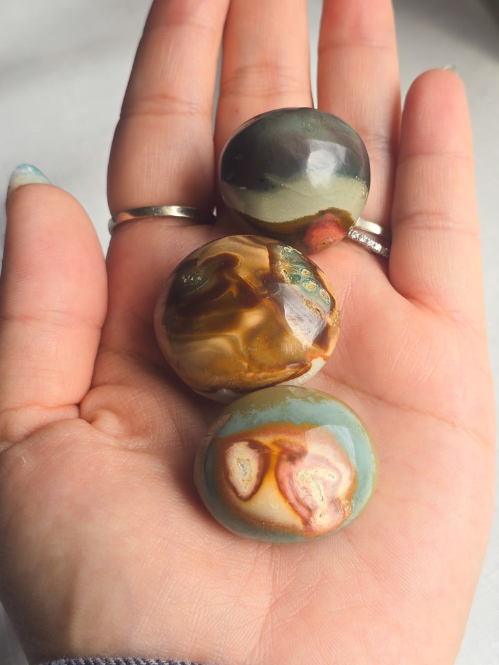 Mookaite Coins