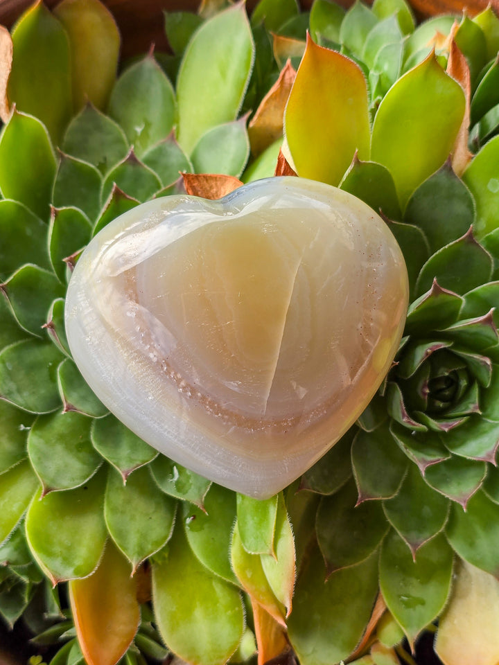 Agate Heart (b)