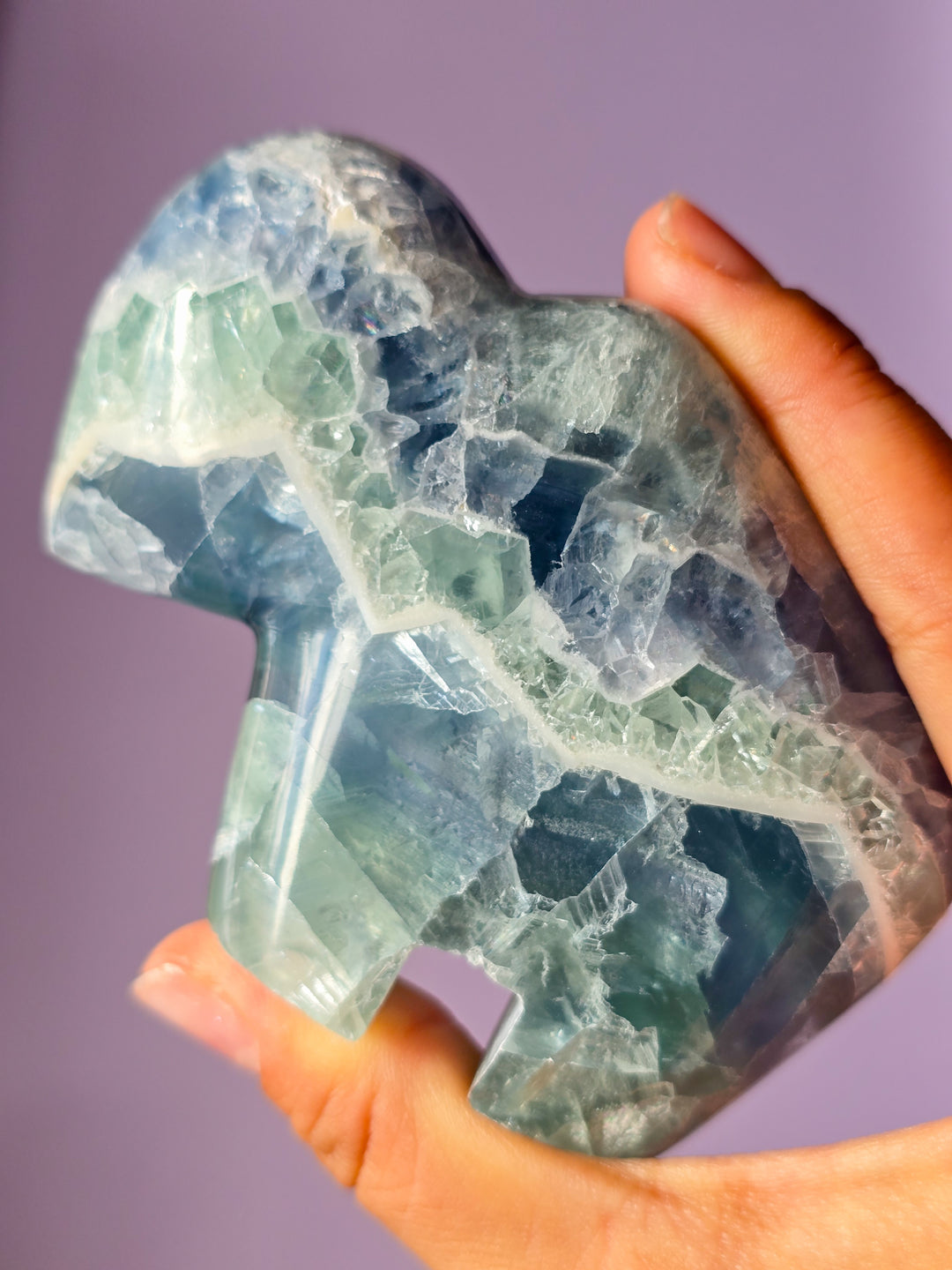 Mexican Rainbow Fluorite Bison