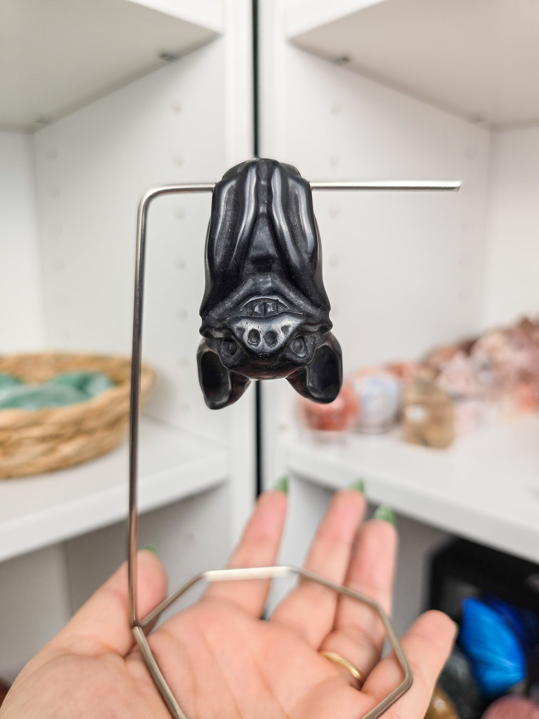 Friendly Hanging Bats