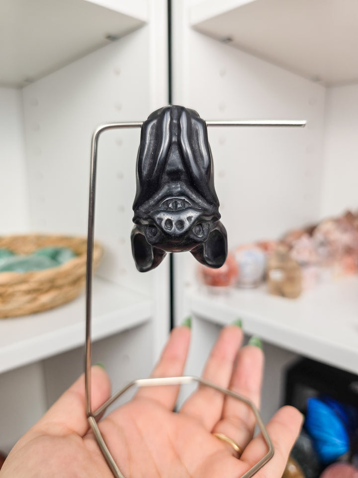 Friendly Hanging Bats