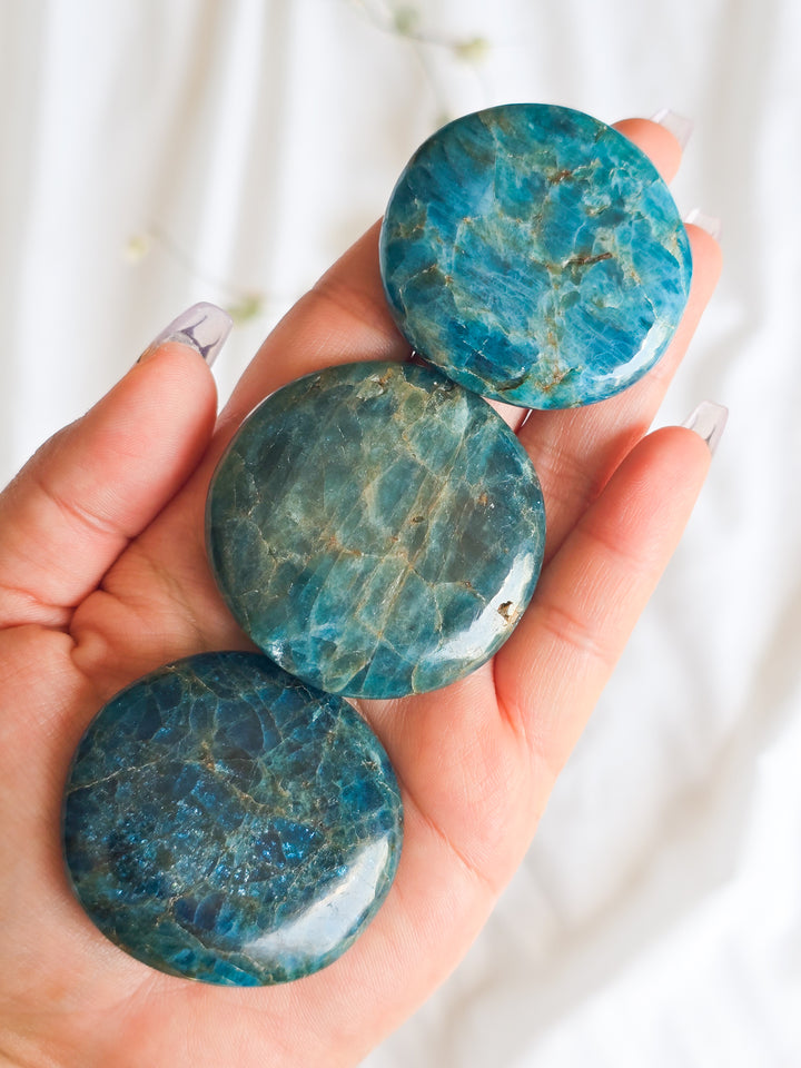 You Pick, Flat Palm Stones
