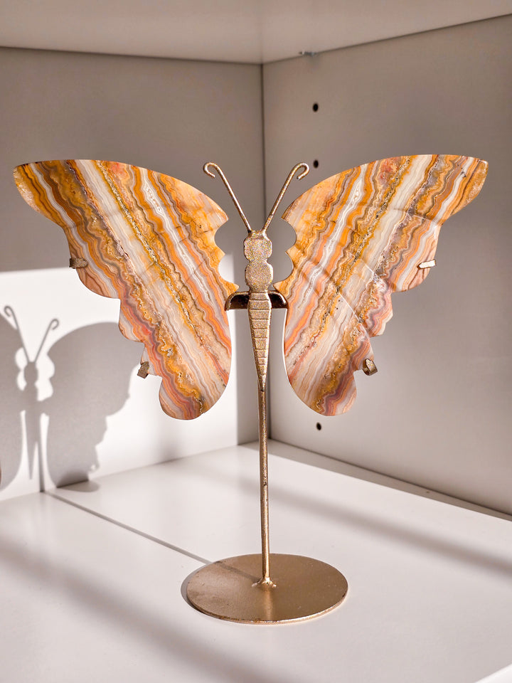 Indonesian Crazy Lace Agate Butterfly on Stand (b)