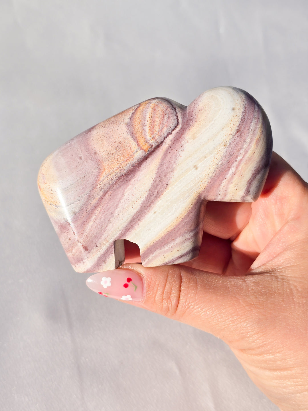 🌈 Rhyolite Bison Medium A