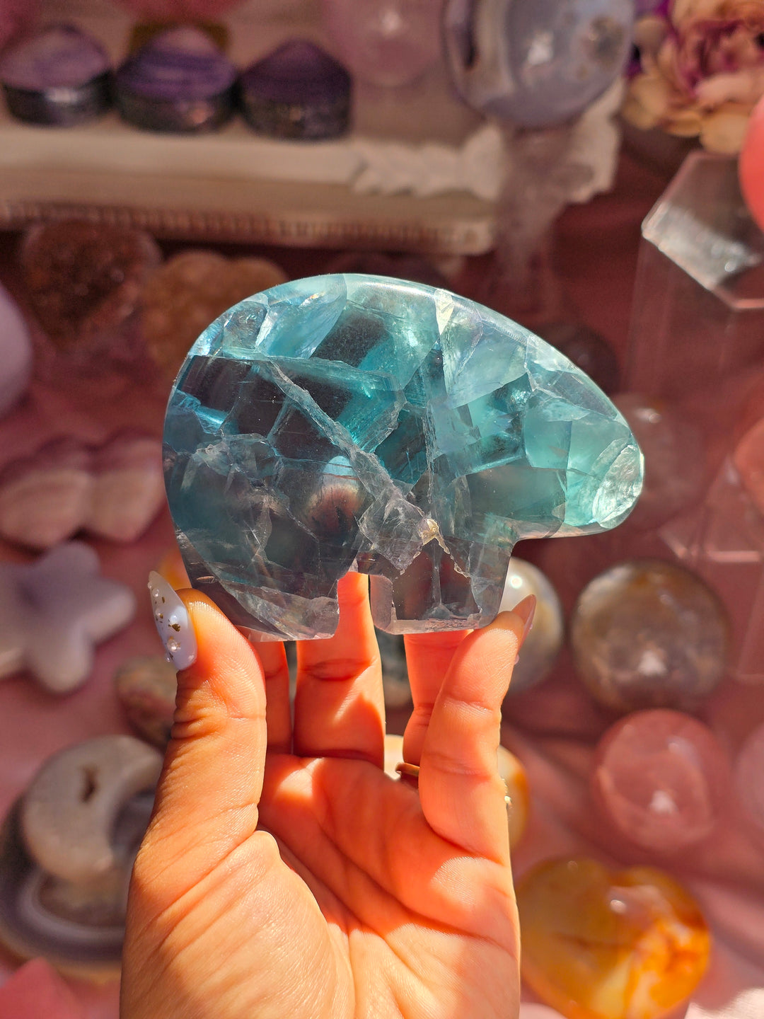 Icy Teal Polar Bear Rainbow Fluorite