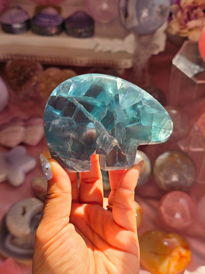 Icy Teal Polar Bear Rainbow Fluorite