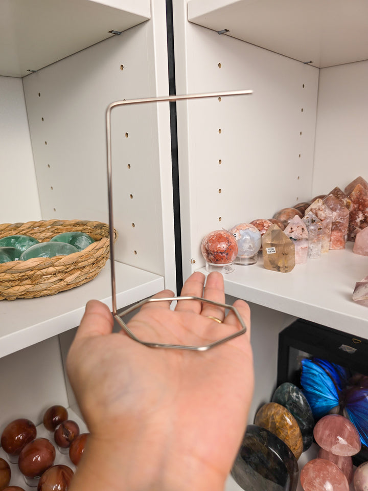 Friendly Hanging Bats