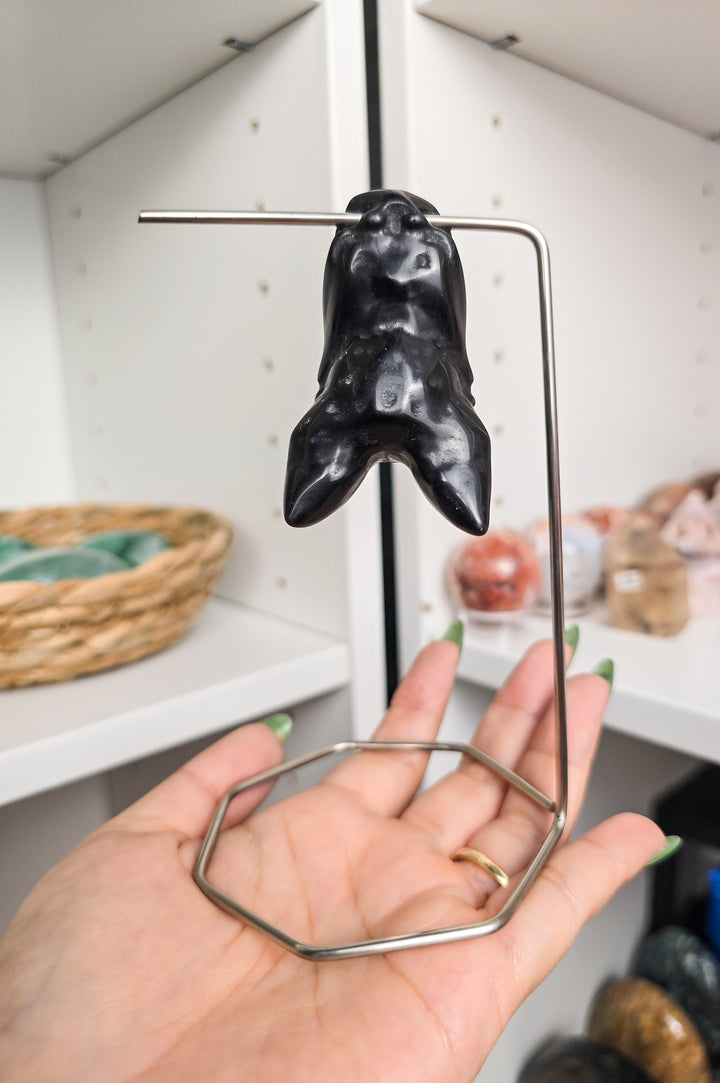 Friendly Hanging Bats