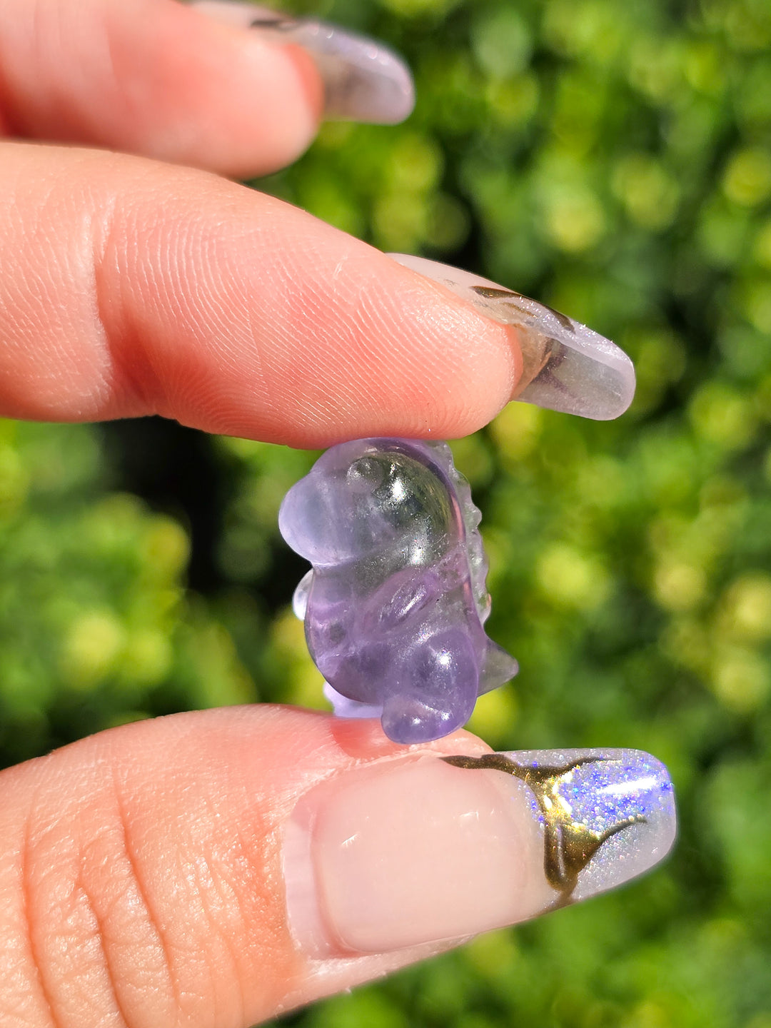 Mini Fluorite Chubby Dino