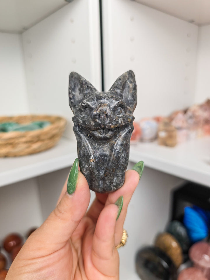 Friendly Hanging Bats