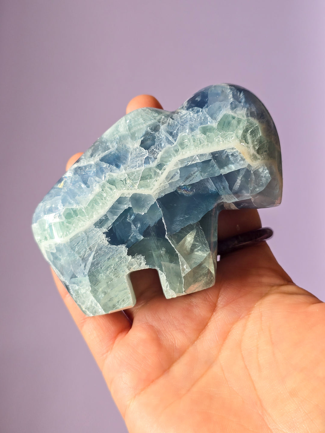 Mexican Rainbow Fluorite Bison