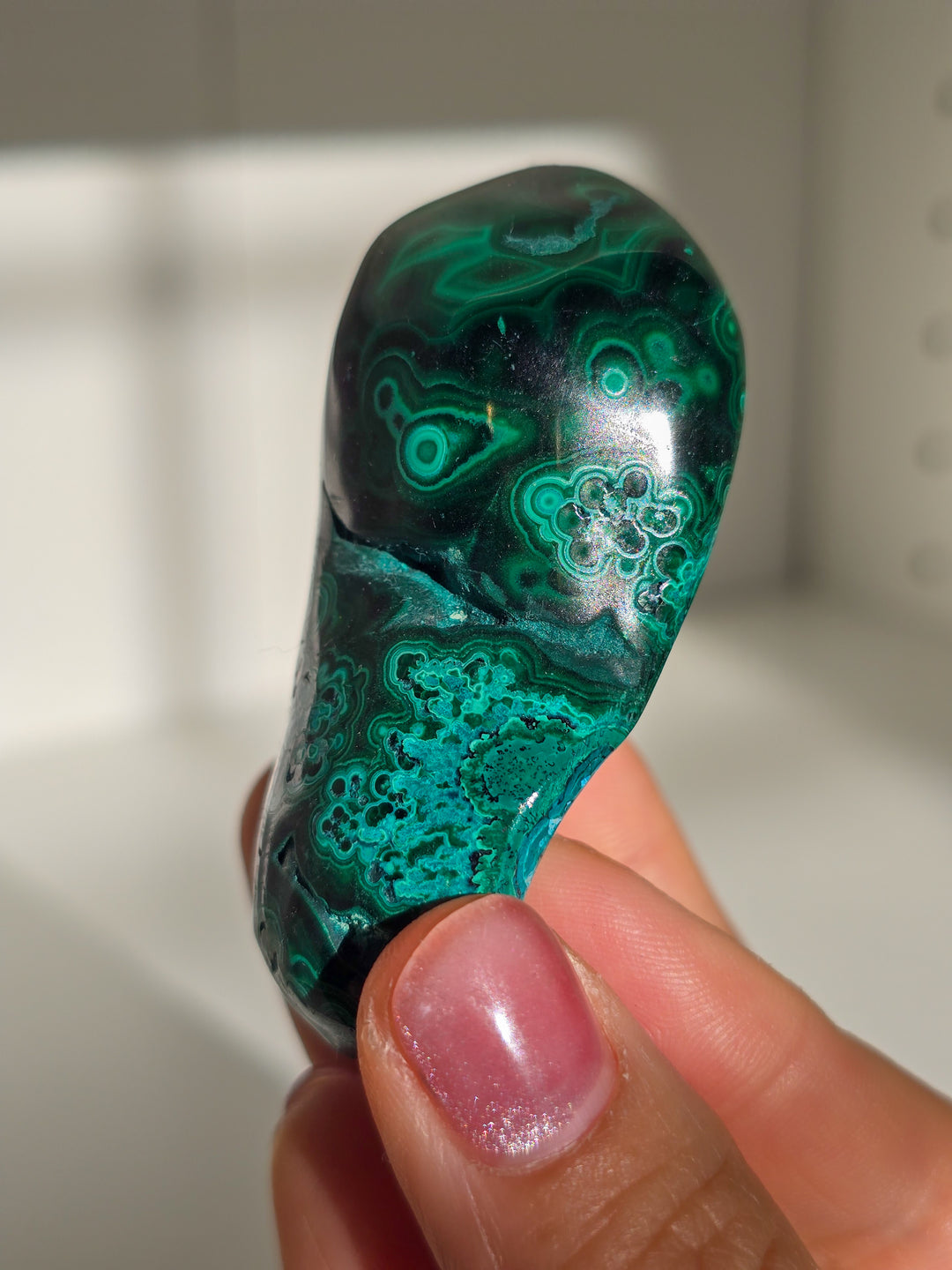 Malachite &amp; Chrysocolla Freeform q