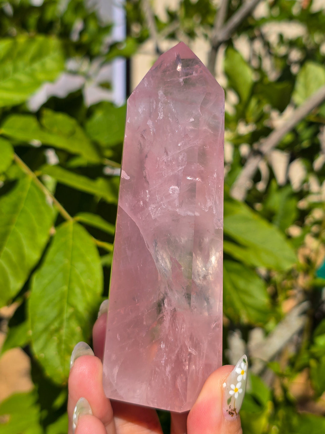 HQ Brazillian Rose Quartz Tower T5