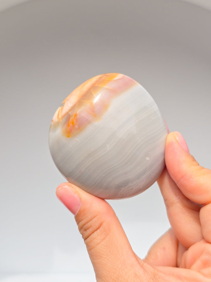 Zebra &amp; Sea Jasper Palmstones